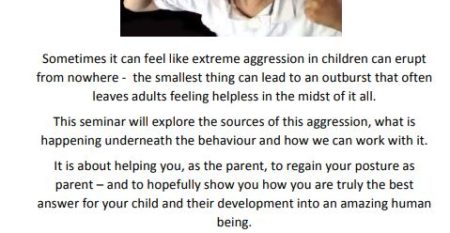 Understanding Aggression poster Understanding Aggression poster